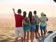 {{brizy_dc_image_alt imageSrc=